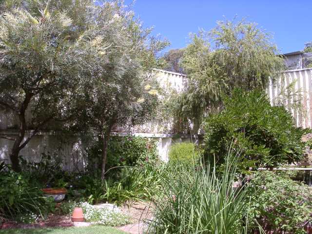 Scene