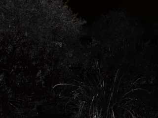 Unaltered JPEG/TIFF difference