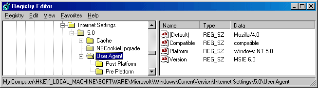 Registry screen shot